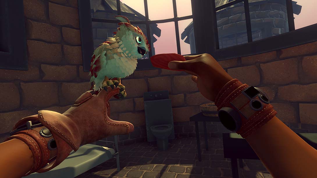 猎鹰纪元 Falcon Age_Switch游戏_任天堂switch游戏下载_ns游戏下载_switch游戏下载_大气层游戏_TX游戏_xci游戏_nsp游戏_nsz游戏_switch金手指_ns金手指mod_任天堂游戏修改_switch520_Switch2_switch游戏下载_switch520_6