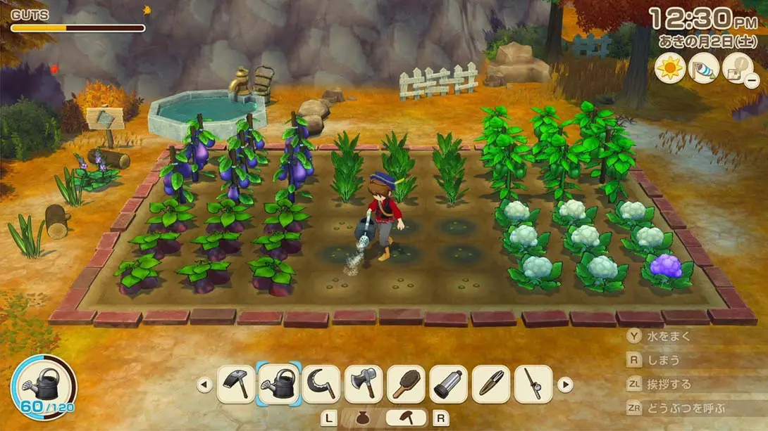 牧场物语 来吧！风之繁华集市 .STORY OF SEASONS: Grand Bazaar_来吧_牧场_风之_Switch游戏_任天堂switch游戏下载_ns游戏下载_switch游戏下载_大气层游戏_TX游戏_xci游戏_nsp游戏_nsz游戏_switch金手指_ns金手指mod_任天堂游戏修改_switch520_Switch2_switch游戏下载_switch520_2