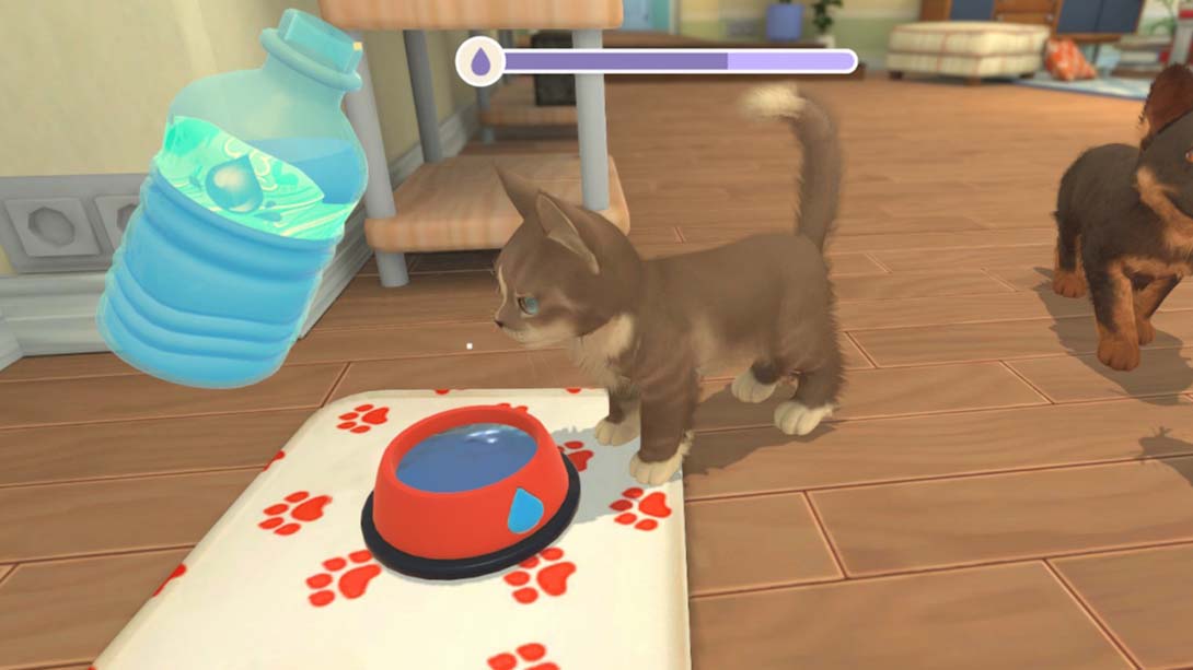 我的领域：小猫小狗 My Universe - Puppies and Kittens_Switch游戏_任天堂switch游戏下载_ns游戏下载_switch游戏下载_大气层游戏_TX游戏_xci游戏_nsp游戏_nsz游戏_switch金手指_ns金手指mod_任天堂游戏修改_switch520_Switch2_switch游戏下载_switch520_2
