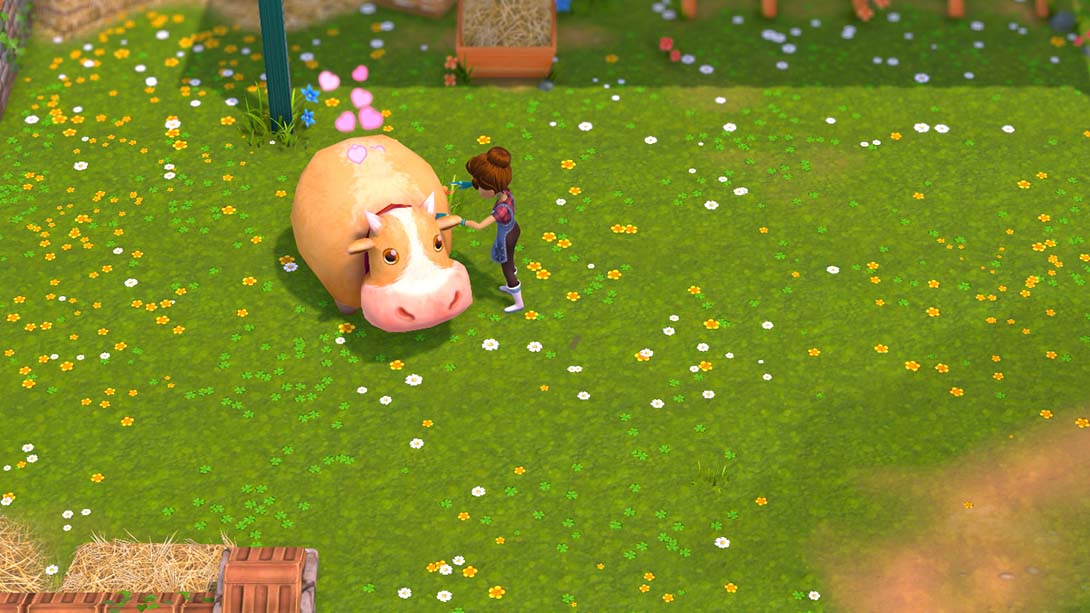 My Universe - Green Adventure: Farmer Friends_Switch游戏_任天堂switch游戏下载_ns游戏下载_switch游戏下载_大气层游戏_TX游戏_xci游戏_nsp游戏_nsz游戏_switch金手指_ns金手指mod_任天堂游戏修改_switch520_Switch2_switch游戏下载_switch520_2
