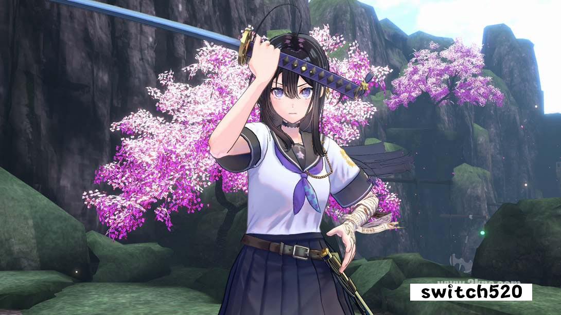 武士少女 v.SAMURAI MAIDEN_Switch游戏_任天堂switch游戏下载_ns游戏下载_switch游戏下载_大气层游戏_TX游戏_xci游戏_nsp游戏_nsz游戏_switch金手指_ns金手指mod_任天堂游戏修改_switch520_Switch2_switch游戏下载_switch520_3