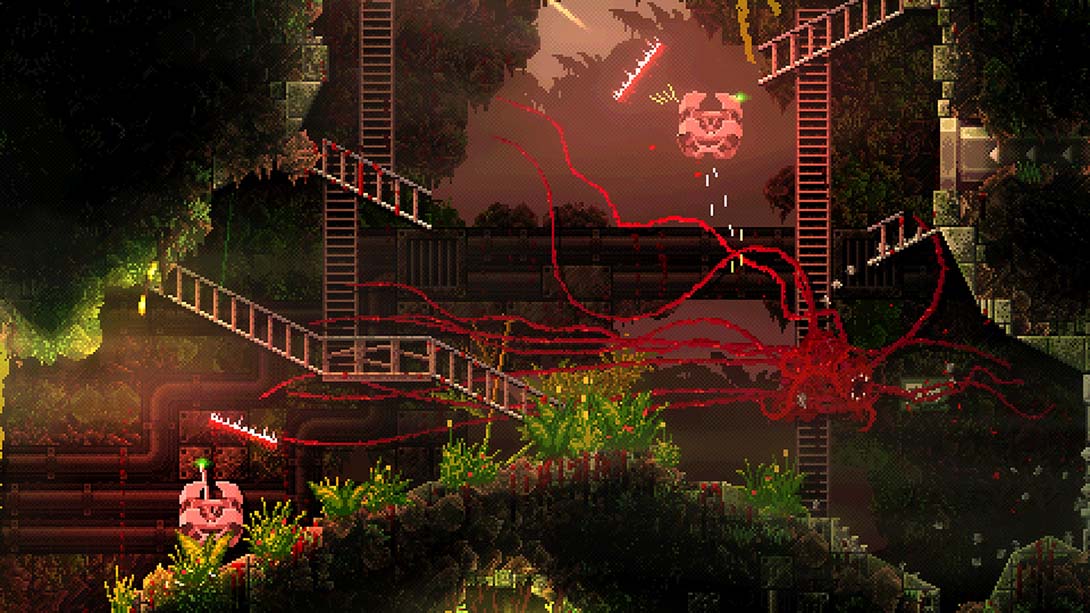 红怪 CARRION_Switch游戏_任天堂switch游戏下载_ns游戏下载_switch游戏下载_大气层游戏_TX游戏_xci游戏_nsp游戏_nsz游戏_switch金手指_ns金手指mod_任天堂游戏修改_switch520_Switch2_switch游戏下载_switch520_2