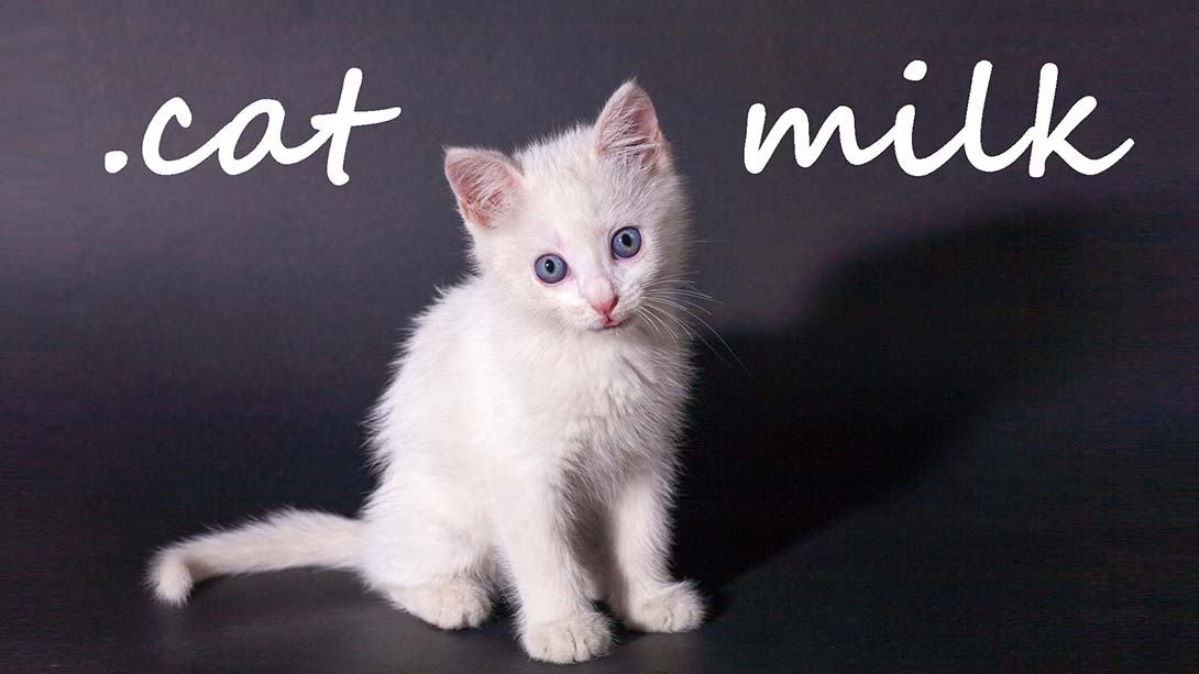 猫奶 Cat Milk_Switch游戏_任天堂switch游戏下载_ns游戏下载_switch游戏下载_大气层游戏_TX游戏_xci游戏_nsp游戏_nsz游戏_switch金手指_ns金手指mod_任天堂游戏修改_switch520_Switch2_switch游戏下载_switch520_0