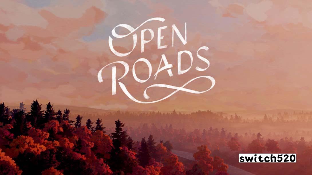 外港锚地 .Open Roads_Switch游戏_任天堂switch游戏下载_ns游戏下载_switch游戏下载_大气层游戏_TX游戏_xci游戏_nsp游戏_nsz游戏_switch金手指_ns金手指mod_任天堂游戏修改_switch520_Switch2_switch游戏下载_switch520_0