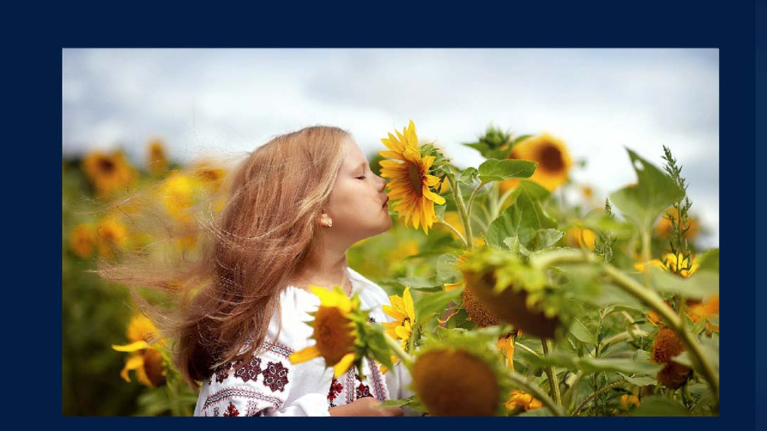 Beautiful Ukraine_Switch游戏_任天堂switch游戏下载_ns游戏下载_switch游戏下载_大气层游戏_TX游戏_xci游戏_nsp游戏_nsz游戏_switch金手指_ns金手指mod_任天堂游戏修改_switch520_Switch2_switch游戏下载_switch520_4