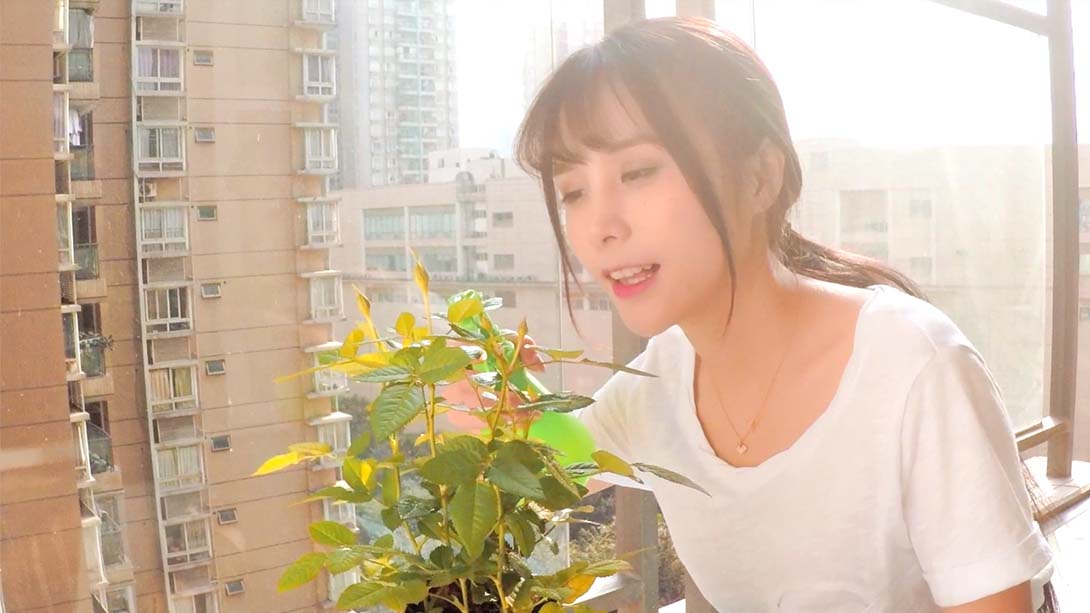 女神驾到：夏日甜心 Summer Sweetheart_Switch游戏_任天堂switch游戏下载_ns游戏下载_switch游戏下载_大气层游戏_TX游戏_xci游戏_nsp游戏_nsz游戏_switch金手指_ns金手指mod_任天堂游戏修改_switch520_Switch2_switch游戏下载_switch520_2