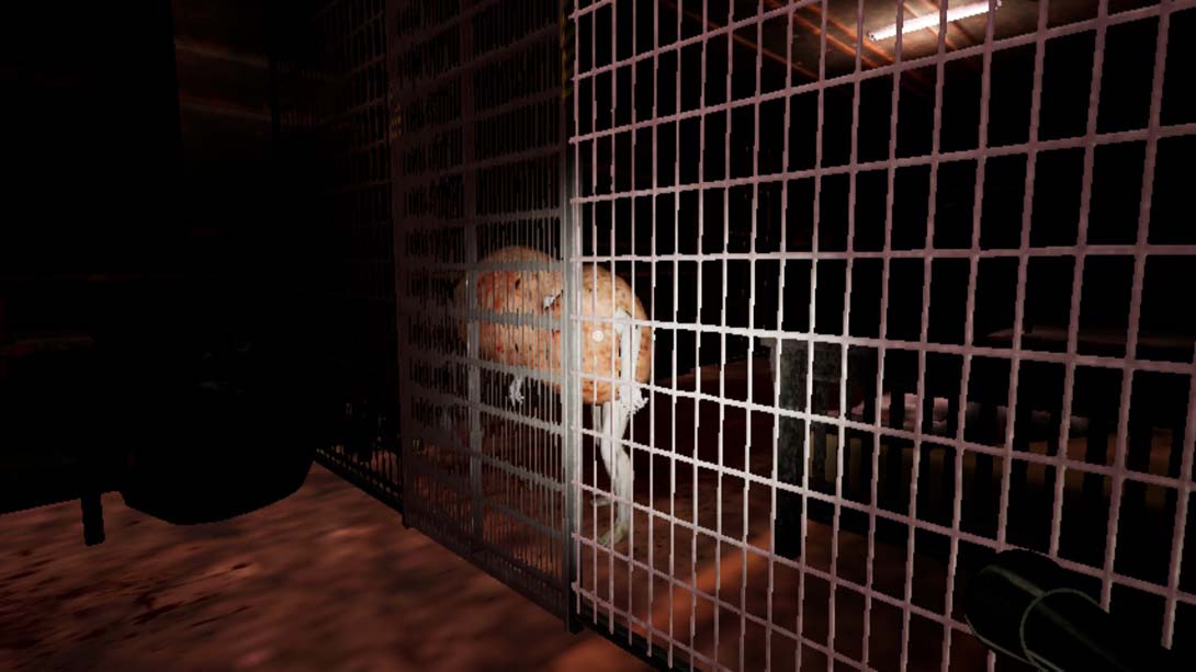 疯人院|被感染的豪宅 THE MADHOUSE | Infected Mansion_Switch游戏_任天堂switch游戏下载_ns游戏下载_switch游戏下载_大气层游戏_TX游戏_xci游戏_nsp游戏_nsz游戏_switch金手指_ns金手指mod_任天堂游戏修改_switch520_Switch2_switch游戏下载_switch520_4