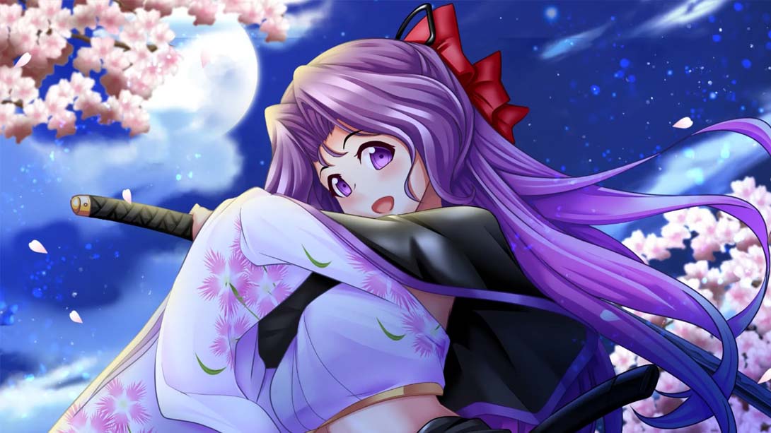 SENGOKU Princess_Switch游戏_任天堂switch游戏下载_ns游戏下载_switch游戏下载_大气层游戏_TX游戏_xci游戏_nsp游戏_nsz游戏_switch金手指_ns金手指mod_任天堂游戏修改_switch520_Switch2_switch游戏下载_switch520_3