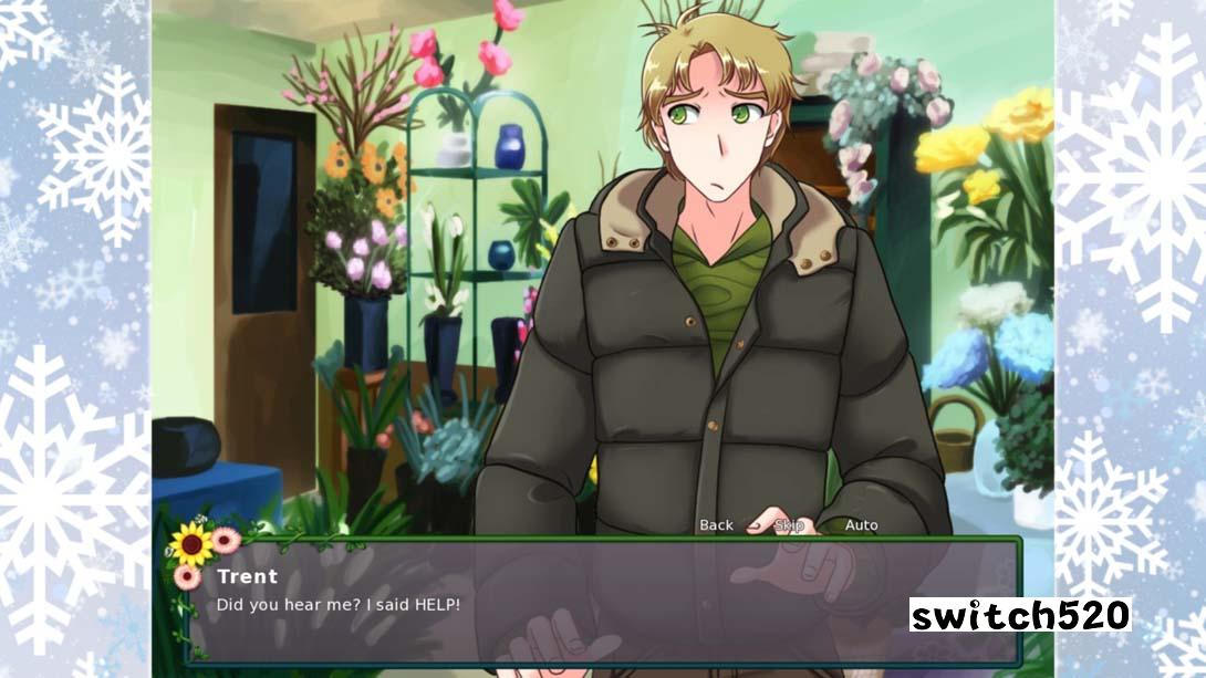 恋爱花店:费尔布鲁克之冬 .Flower Shop: Winter In Fairbrook_Switch游戏_任天堂switch游戏下载_ns游戏下载_switch游戏下载_大气层游戏_TX游戏_xci游戏_nsp游戏_nsz游戏_switch金手指_ns金手指mod_任天堂游戏修改_switch520_Switch2_switch游戏下载_switch520_6