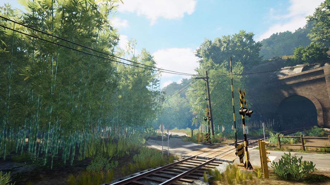 追忆列车 NOSTALGIC TRAIN_Switch游戏_任天堂switch游戏下载_ns游戏下载_switch游戏下载_大气层游戏_TX游戏_xci游戏_nsp游戏_nsz游戏_switch金手指_ns金手指mod_任天堂游戏修改_switch520_Switch2_switch游戏下载_switch520_1