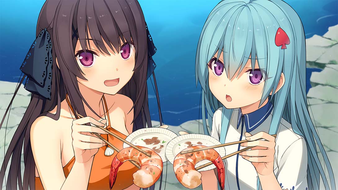 苍之彼方的四重奏 EXTRA2S .蒼の彼方のフォーリズム EXTRA2S_Switch游戏_任天堂switch游戏下载_ns游戏下载_switch游戏下载_大气层游戏_TX游戏_xci游戏_nsp游戏_nsz游戏_switch金手指_ns金手指mod_任天堂游戏修改_switch520_Switch2_switch游戏下载_switch520_2