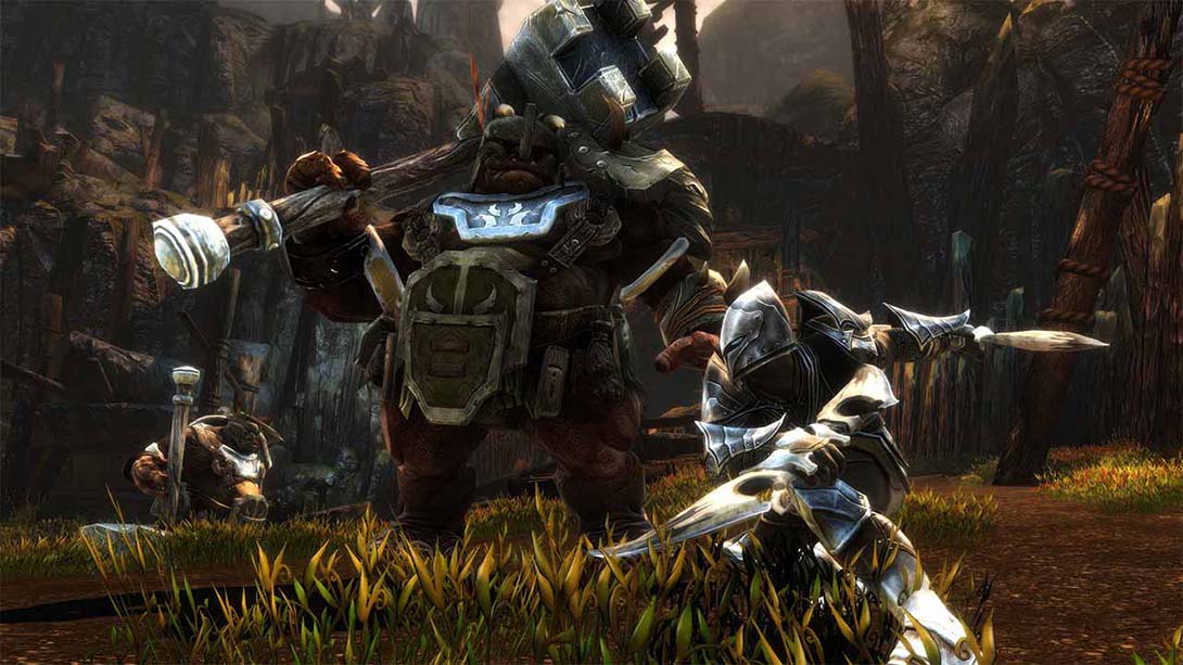 阿玛拉王国：惩罚重制版 Kingdoms of Amalur Reckoning_Switch游戏_任天堂switch游戏下载_ns游戏下载_switch游戏下载_大气层游戏_TX游戏_xci游戏_nsp游戏_nsz游戏_switch金手指_ns金手指mod_任天堂游戏修改_switch520_Switch2_switch游戏下载_switch520_2