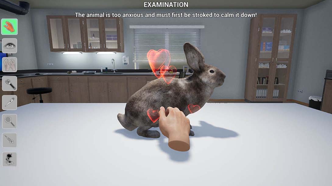 我的生活：宠物兽医 My Life: Pet Vet_Switch游戏_任天堂switch游戏下载_ns游戏下载_switch游戏下载_大气层游戏_TX游戏_xci游戏_nsp游戏_nsz游戏_switch金手指_ns金手指mod_任天堂游戏修改_switch520_Switch2_switch游戏下载_switch520_6