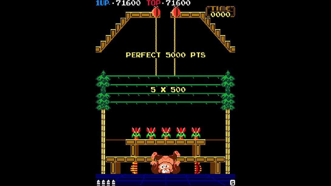 街机档案：森喜刚3 Arcade Archives DONKEY KONG 3_Switch游戏_任天堂switch游戏下载_ns游戏下载_switch游戏下载_大气层游戏_TX游戏_xci游戏_nsp游戏_nsz游戏_switch金手指_ns金手指mod_任天堂游戏修改_switch520_Switch2_switch游戏下载_switch520_2