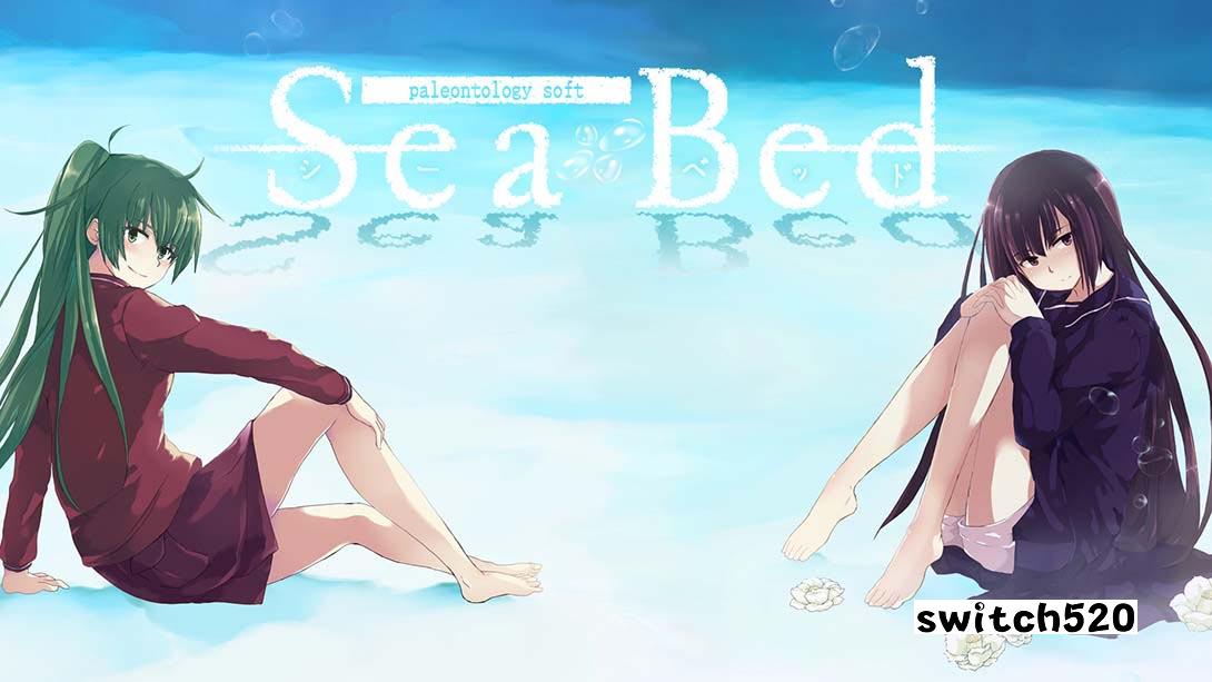海床 .SeaBed_Switch游戏_任天堂switch游戏下载_ns游戏下载_switch游戏下载_大气层游戏_TX游戏_xci游戏_nsp游戏_nsz游戏_switch金手指_ns金手指mod_任天堂游戏修改_switch520_Switch2_switch游戏下载_switch520_0