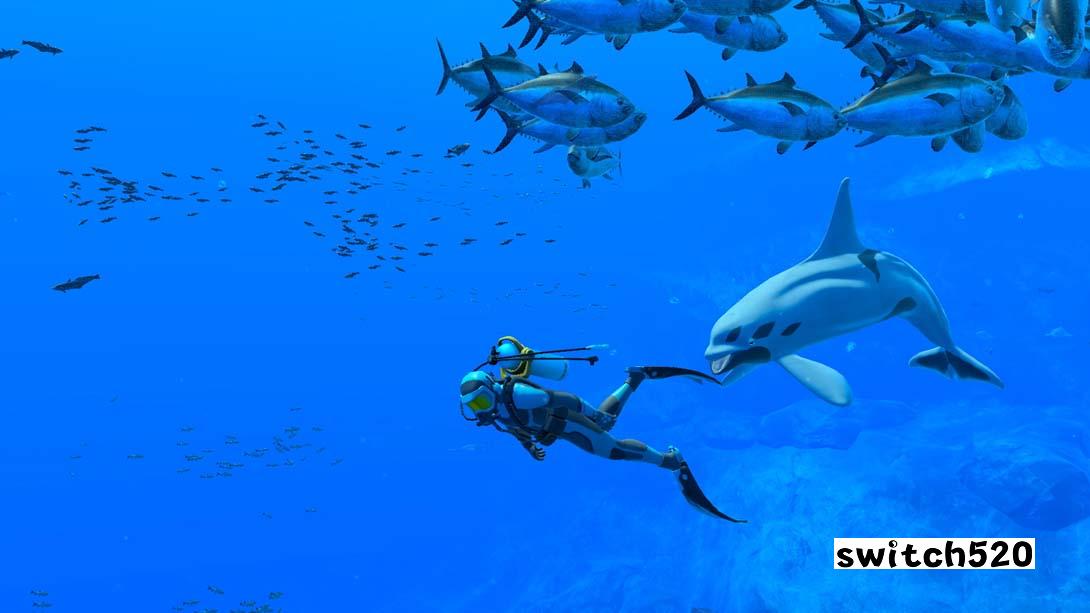 永恒蔚蓝 流光 .Endless Ocean ~ luminous ~_Switch游戏_任天堂switch游戏下载_ns游戏下载_switch游戏下载_大气层游戏_TX游戏_xci游戏_nsp游戏_nsz游戏_switch金手指_ns金手指mod_任天堂游戏修改_switch520_Switch2_switch游戏下载_switch520_5