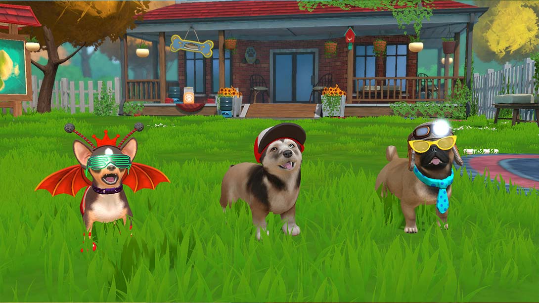 小小伙伴:狗狗小岛 Little Friends: Puppy Island_Switch游戏_任天堂switch游戏下载_ns游戏下载_switch游戏下载_大气层游戏_TX游戏_xci游戏_nsp游戏_nsz游戏_switch金手指_ns金手指mod_任天堂游戏修改_switch520_Switch2_switch游戏下载_switch520_5