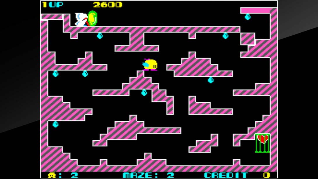 Arcade Archives Chack'n Pop_Switch游戏_任天堂switch游戏下载_ns游戏下载_switch游戏下载_大气层游戏_TX游戏_xci游戏_nsp游戏_nsz游戏_switch金手指_ns金手指mod_任天堂游戏修改_switch520_Switch2_switch游戏下载_switch520_4