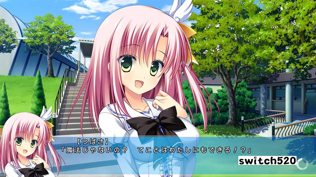 ‍PriministAr-プライミニスタ_Switch游戏_任天堂switch游戏下载_ns游戏下载_switch游戏下载_大气层游戏_TX游戏_xci游戏_nsp游戏_nsz游戏_switch金手指_ns金手指mod_任天堂游戏修改_switch520_Switch2_switch游戏下载_switch520_2