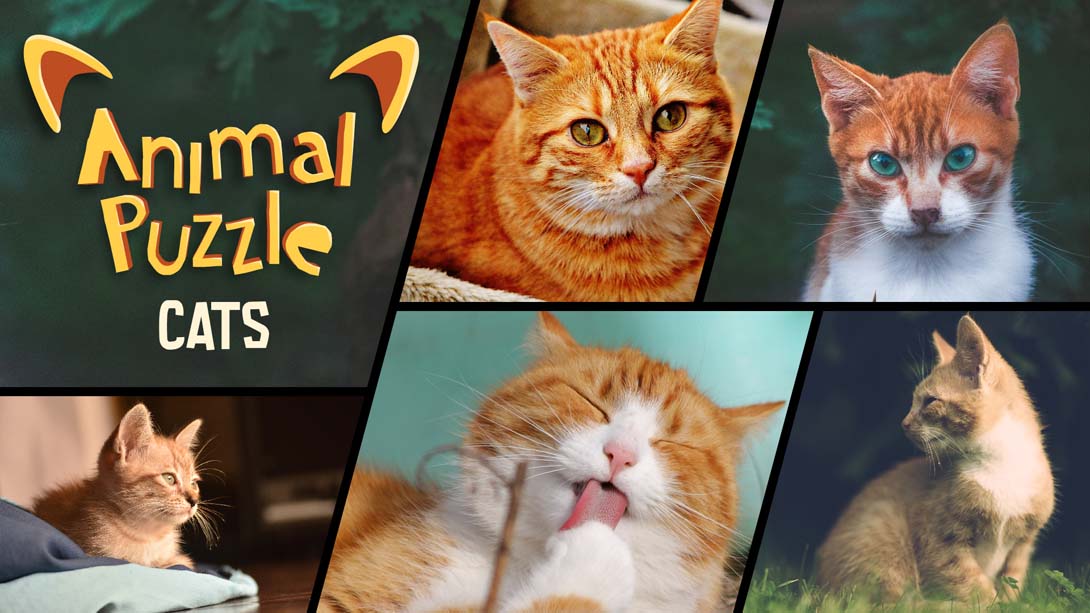 动物拼图猫 Animal Puzzle Cats_Switch游戏_任天堂switch游戏下载_ns游戏下载_switch游戏下载_大气层游戏_TX游戏_xci游戏_nsp游戏_nsz游戏_switch金手指_ns金手指mod_任天堂游戏修改_switch520_Switch2_switch游戏下载_switch520_0