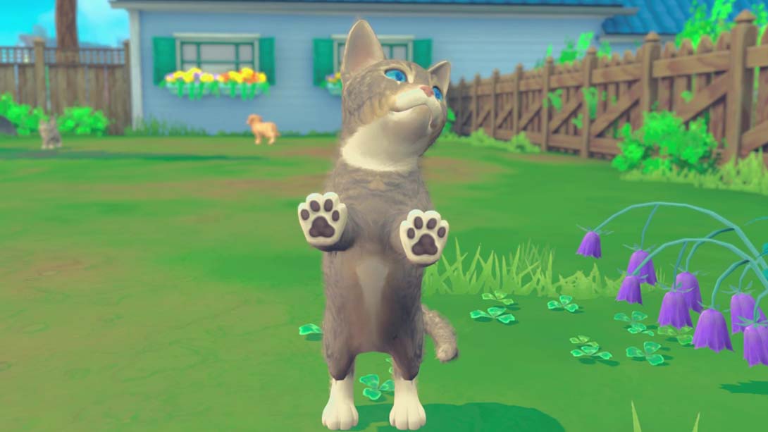 我的领域：小猫小狗 My Universe - Puppies and Kittens_Switch游戏_任天堂switch游戏下载_ns游戏下载_switch游戏下载_大气层游戏_TX游戏_xci游戏_nsp游戏_nsz游戏_switch金手指_ns金手指mod_任天堂游戏修改_switch520_Switch2_switch游戏下载_switch520_6