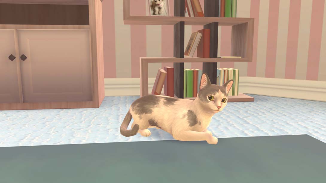 猫咪救援 .Cat Rescue Story_Switch游戏_任天堂switch游戏下载_ns游戏下载_switch游戏下载_大气层游戏_TX游戏_xci游戏_nsp游戏_nsz游戏_switch金手指_ns金手指mod_任天堂游戏修改_switch520_Switch2_switch游戏下载_switch520_2