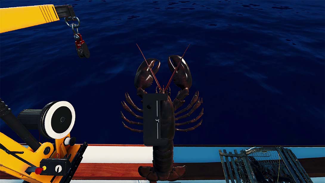 钓鱼:北大西洋 Fishing: North Atlantic_Switch游戏_任天堂switch游戏下载_ns游戏下载_switch游戏下载_大气层游戏_TX游戏_xci游戏_nsp游戏_nsz游戏_switch金手指_ns金手指mod_任天堂游戏修改_switch520_Switch2_switch游戏下载_switch520_4