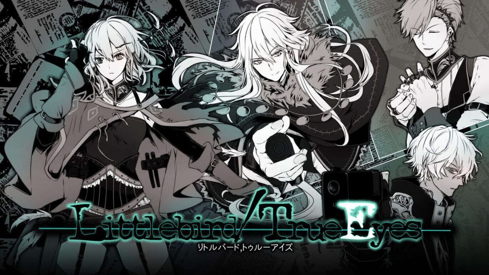 switch520游戏_小鸟/真眼_Littlebird/TrueEyes_0