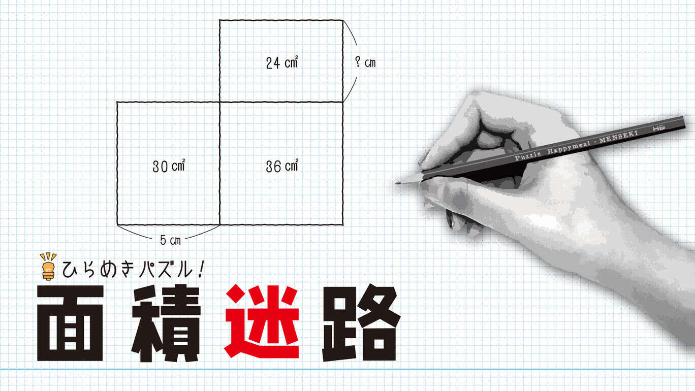 switch520游戏_面积迷宫_Menseki: Area Maze puzzles_ひらめきパズル！面積迷路_0