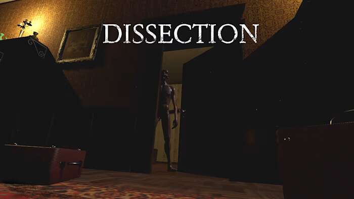 switch520游戏_解剖_Dissection_0