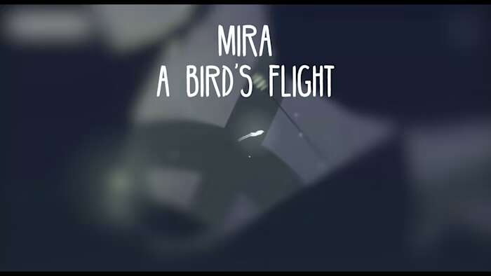 switch520游戏_米拉：鸟儿的飞行_Mira A Birds Flight_0