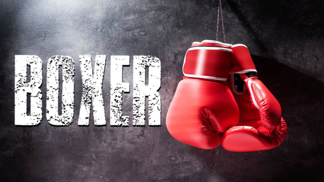 switch520游戏_拳击手_Boxer_0