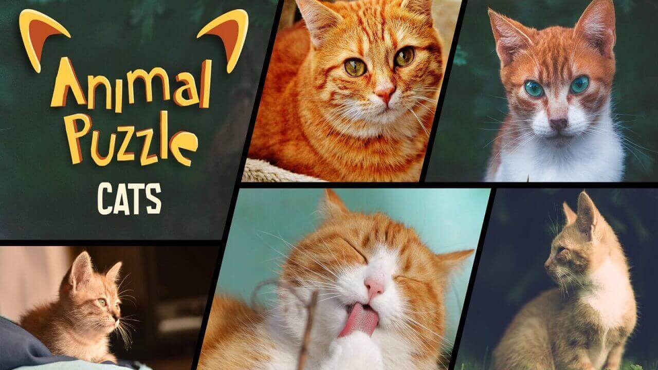 switch520游戏_动物拼图猫_Animal Puzzle Cats_0