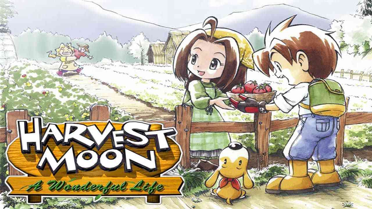 switch520游戏_牧场物语：美好人生_Harvest Moon: A Wonderful Life_0