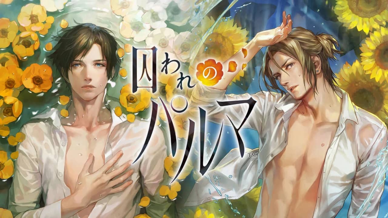 switch520游戏_被囚禁的掌心_Toraware no Palm Deluxe Edition_囚われのパルマ_0