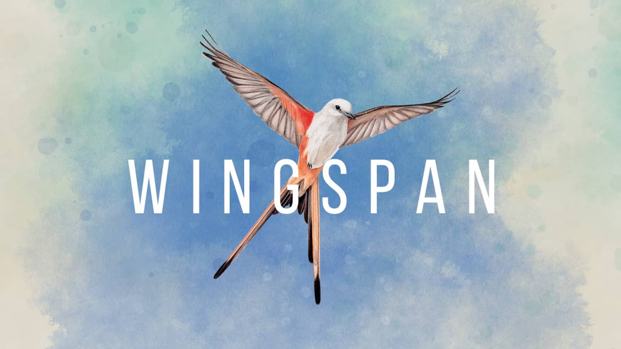 switch520游戏_展翅翱翔_Wingspan_0