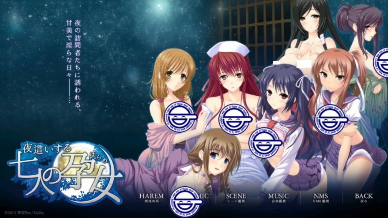 switch520游戏_夜袭七人孕女_夜這いする七人の女_0