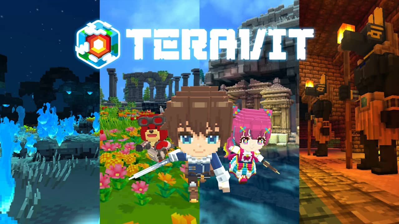 switch520游戏_泰拉维特_Teravit_0